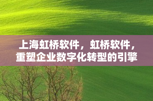 上海虹桥软件,虹桥软件,重塑企业数字化转型的引擎 上海虹桥软件,虹桥软件,重塑企业数字化转型的引擎