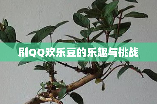 刷QQ欢乐豆的乐趣与挑战 刷QQ欢乐豆的乐趣与挑战
