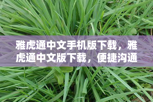 雅虎通中文手机版下载，雅虎通中文版下载，便捷沟通，尽享国际交流