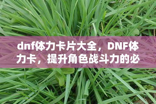 dnf体力卡片大全,DNF体力卡,提升角色战斗力的必备神器 dnf体力卡片大全,DNF体力卡,提升角色战斗力的必备神器