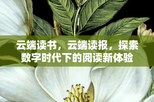云端读书,云端读报,探索数字时代下的阅读新体验 云端读书,云端读报,探索数字时代下的阅读新体验