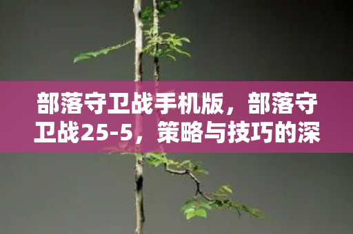 部落守卫战手机版,部落守卫战25-5,策略与技巧的深度剖析 部落守卫战手机版,部落守卫战25-5,策略与技巧的深度剖析