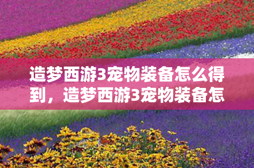 造梦西游3宠物装备怎么得到,造梦西游3宠物装备怎么得 造梦西游3宠物装备怎么得到,造梦西游3宠物装备怎么得