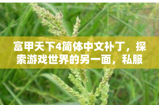 富甲天下4简体中文补丁,探索游戏世界的另一面,私服与官方服务器的独特魅力 富甲天下4简体中文补丁,探索游戏世界的另一面,私服与官方服务器的独特魅力