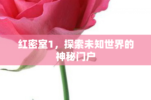 红密室1,探索未知世界的神秘门户 红密室1,探索未知世界的神秘门户