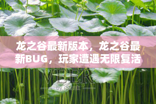 龙之谷最新版本，龙之谷最新BUG，玩家遭遇无限复活问题