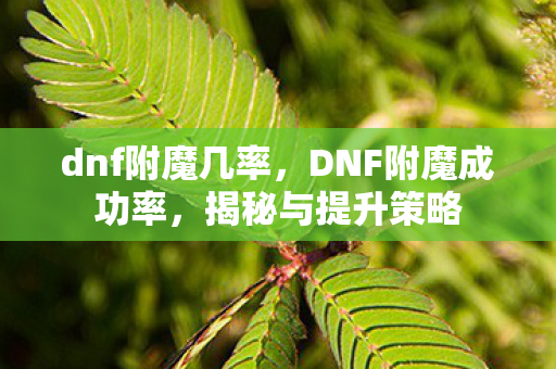 dnf附魔几率，DNF附魔成功率，揭秘与提升策略