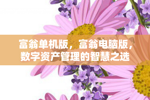 富翁单机版,富翁电脑版,数字资产管理的智慧之选 富翁单机版,富翁电脑版,数字资产管理的智慧之选