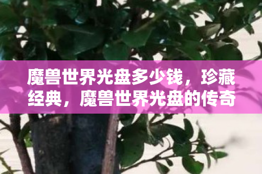 魔兽世界光盘多少钱,珍藏经典,魔兽世界光盘的传奇故事 魔兽世界光盘多少钱,珍藏经典,魔兽世界光盘的传奇故事