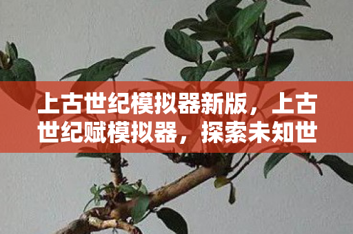 上古世纪模拟器新版,上古世纪赋模拟器,探索未知世界的奇妙之旅 上古世纪模拟器新版,上古世纪赋模拟器,探索未知世界的奇妙之旅
