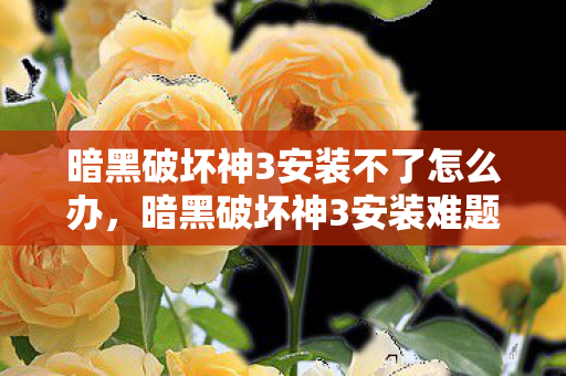 暗黑破坏神3安装不了怎么办,暗黑破坏神3安装难题解析 暗黑破坏神3安装不了怎么办,暗黑破坏神3安装难题解析