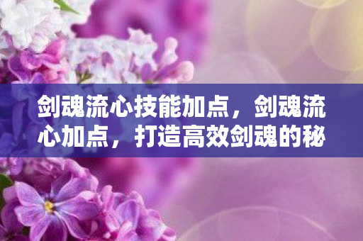 剑魂流心技能加点,剑魂流心加点,打造高效剑魂的秘法 剑魂流心技能加点,剑魂流心加点,打造高效剑魂的秘法