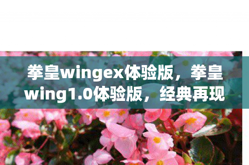 拳皇wingex体验版,拳皇wing1.0体验版,经典再现,全新挑战 拳皇wingex体验版,拳皇wing1.0体验版,经典再现,全新挑战