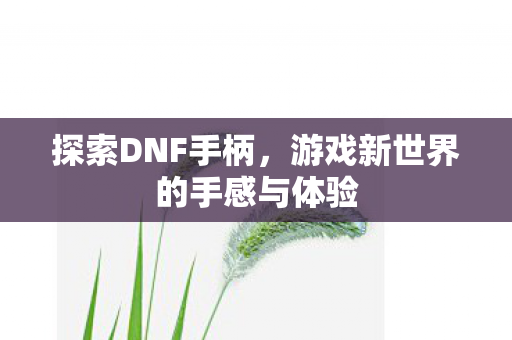 探索DNF手柄,游戏新世界的手感与体验 探索DNF手柄,游戏新世界的手感与体验