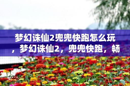 梦幻诛仙2兜兜快跑怎么玩,梦幻诛仙2,兜兜快跑,畅游奇幻世界的奇妙旅程 梦幻诛仙2兜兜快跑怎么玩,梦幻诛仙2,兜兜快跑,畅游奇幻世界的奇妙旅程
