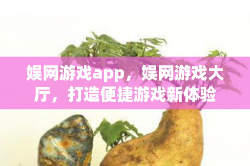 娱网游戏app,娱网游戏大厅,打造便捷游戏新体验 娱网游戏app,娱网游戏大厅,打造便捷游戏新体验