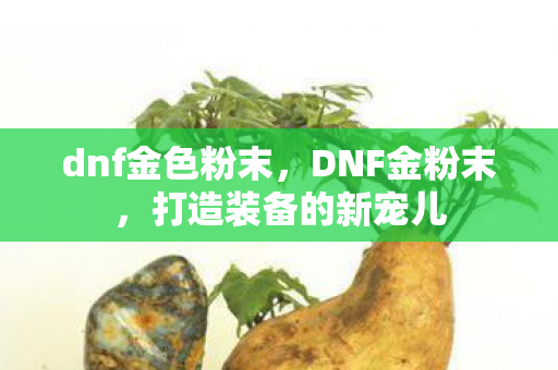 dnf金色粉末，DNF金粉末，打造装备的新宠儿