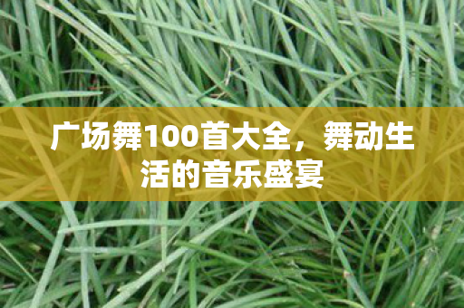 广场舞100首大全,舞动生活的音乐盛宴 广场舞100首大全,舞动生活的音乐盛宴