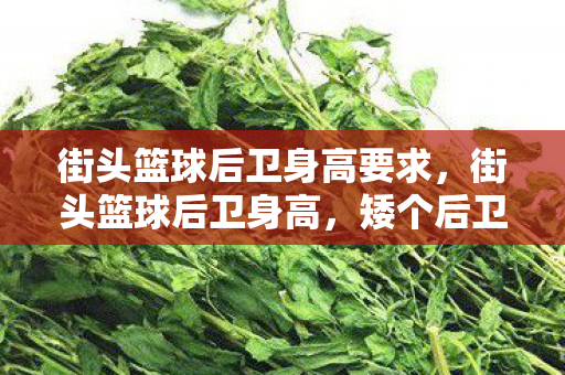 街头篮球后卫身高要求,街头篮球后卫身高,矮个后卫的灵活与技巧 街头篮球后卫身高要求,街头篮球后卫身高,矮个后卫的灵活与技巧