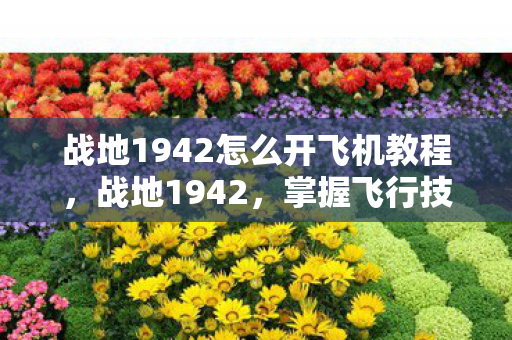 战地1942怎么开飞机教程,战地1942,掌握飞行技巧,驰骋蓝天 战地1942怎么开飞机教程,战地1942,掌握飞行技巧,驰骋蓝天