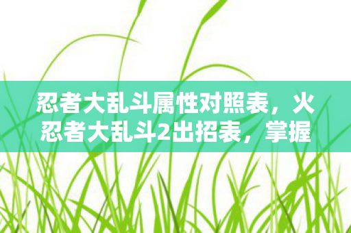 忍者大乱斗属性对照表,火忍者大乱斗2出招表,掌握忍术,决战忍界! 忍者大乱斗属性对照表,火忍者大乱斗2出招表,掌握忍术,决战忍界!