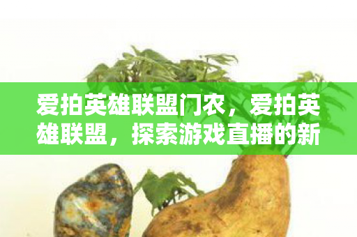 爱拍英雄联盟门农,爱拍英雄联盟,探索游戏直播的新视角 爱拍英雄联盟门农,爱拍英雄联盟,探索游戏直播的新视角