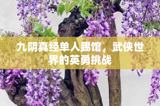 九阴真经单人踢馆,武侠世界的英勇挑战 九阴真经单人踢馆,武侠世界的英勇挑战