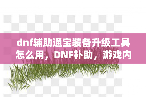 dnf辅助通宝装备升级工具怎么用，DNF补助，游戏内经济系统的平衡与维护