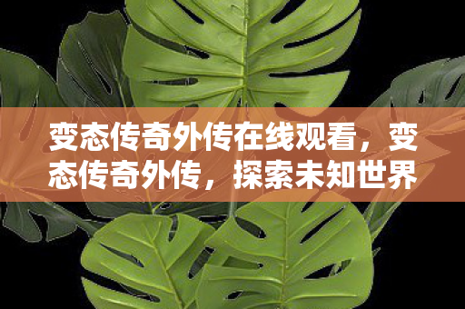 变态传奇外传在线观看，变态传奇外传，探索未知世界的奇幻之旅