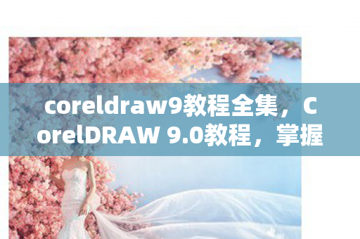 coreldraw9教程全集，CorelDRAW 9.0教程，掌握矢量图形设计的基础与进阶技巧