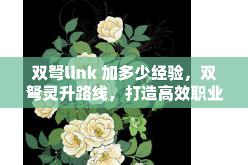 双弩link 加多少经验,双弩灵升路线,打造高效职业发展的策略 双弩link 加多少经验,双弩灵升路线,打造高效职业发展的策略