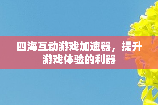 四海互动游戏加速器，提升游戏体验的利器