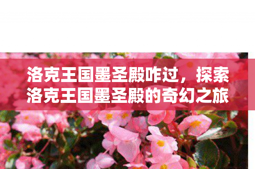 洛克王国墨圣殿咋过,探索洛克王国墨圣殿的奇幻之旅 洛克王国墨圣殿咋过,探索洛克王国墨圣殿的奇幻之旅