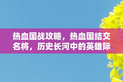 热血国战攻略，热血国结交名将，历史长河中的英雄际遇