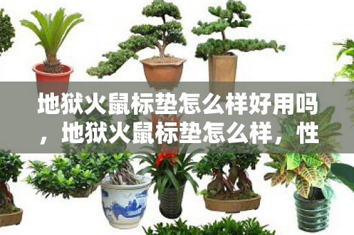 地狱火鼠标垫怎么样好用吗，地狱火鼠标垫怎么样，性能、设计与耐用性的全面解析