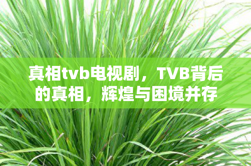 真相tvb电视剧,TVB背后的真相,辉煌与困境并存 真相tvb电视剧,TVB背后的真相,辉煌与困境并存