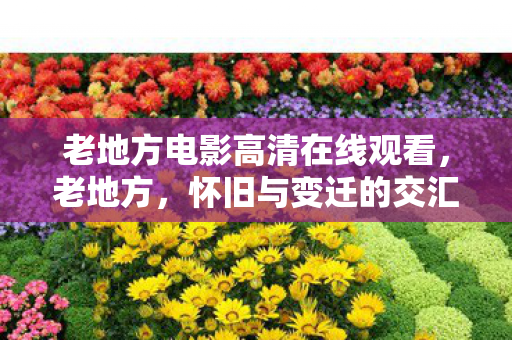 老地方电影高清在线观看,老地方,怀旧与变迁的交汇点 老地方电影高清在线观看,老地方,怀旧与变迁的交汇点
