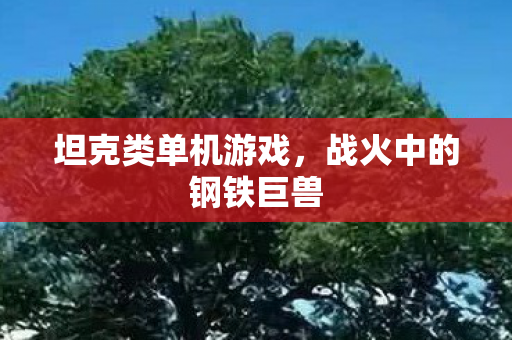 坦克类单机游戏，战火中的钢铁巨兽
