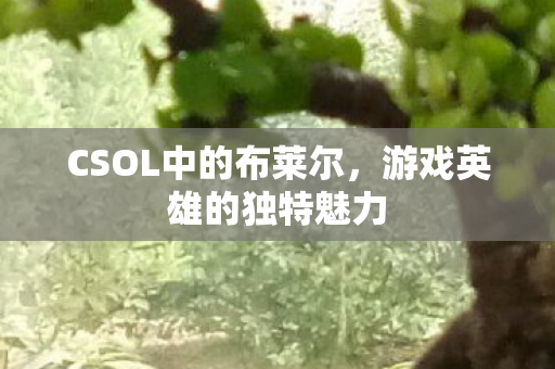 CSOL中的布莱尔,游戏英雄的独特魅力 CSOL中的布莱尔,游戏英雄的独特魅力
