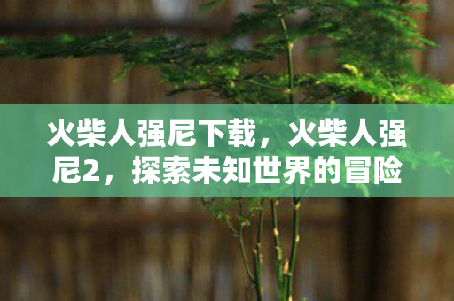 火柴人强尼下载,火柴人强尼2,探索未知世界的冒险之旅 火柴人强尼下载,火柴人强尼2,探索未知世界的冒险之旅