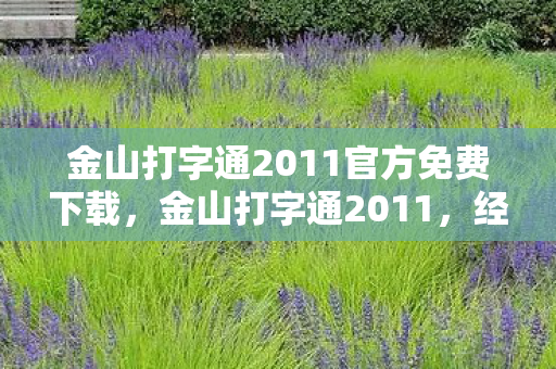 金山打字通2011官方免费下载,金山打字通2011,经典打字软件的传承与创新 金山打字通2011官方免费下载,金山打字通2011,经典打字软件的传承与创新