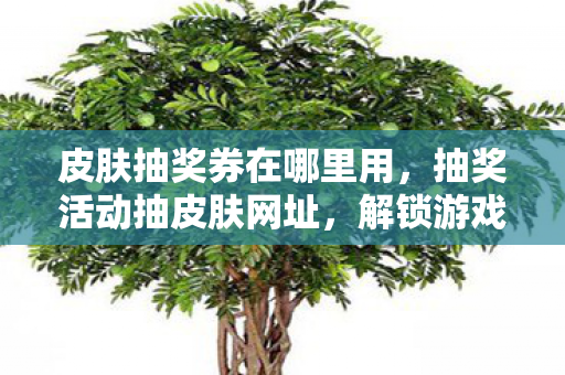 皮肤抽奖券在哪里用,抽奖活动抽皮肤网址,解锁游戏新体验,赢取稀有皮肤 皮肤抽奖券在哪里用,抽奖活动抽皮肤网址,解锁游戏新体验,赢取稀有皮肤