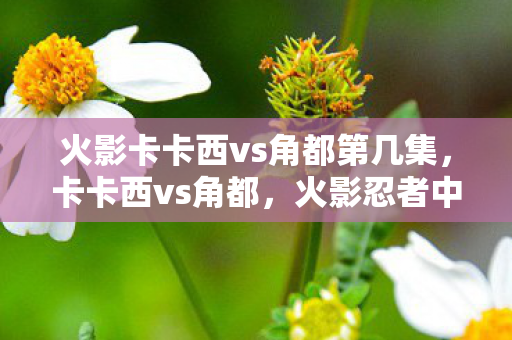 火影卡卡西vs角都第几集,卡卡西vs角都,火影忍者中的经典对决 火影卡卡西vs角都第几集,卡卡西vs角都,火影忍者中的经典对决