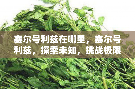 赛尔号利兹在哪里,赛尔号利兹,探索未知,挑战极限 赛尔号利兹在哪里,赛尔号利兹,探索未知,挑战极限