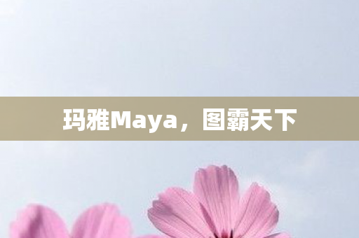 玛雅Maya,图霸天下 玛雅Maya,图霸天下