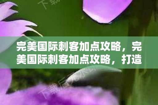 完美国际刺客加点攻略,完美国际刺客加点攻略,打造高效战斗力的关键 完美国际刺客加点攻略,完美国际刺客加点攻略,打造高效战斗力的关键