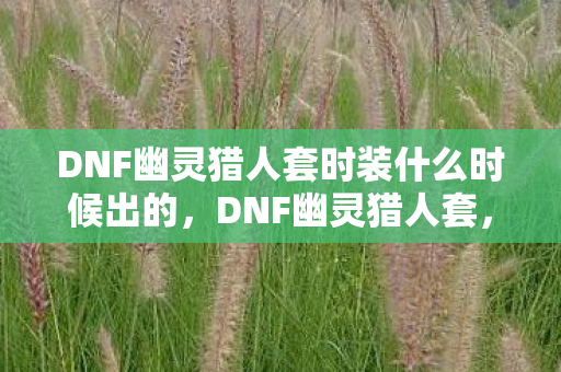 DNF幽灵猎人套时装什么时候出的,DNF幽灵猎人套,打造最强战斗力的必备神器 DNF幽灵猎人套时装什么时候出的,DNF幽灵猎人套,打造最强战斗力的必备神器