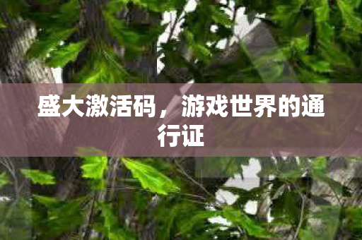 盛大激活码,游戏世界的通行证 盛大激活码,游戏世界的通行证