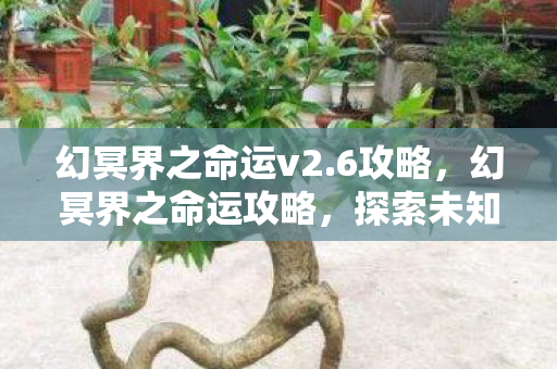 幻冥界之命运v2.6攻略,幻冥界之命运攻略,探索未知,掌握命运 幻冥界之命运v2.6攻略,幻冥界之命运攻略,探索未知,掌握命运