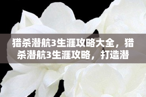 猎杀潜航3生涯攻略大全，猎杀潜航3生涯攻略，打造潜艇指挥官传奇